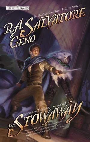 Book cover of The Stowaway