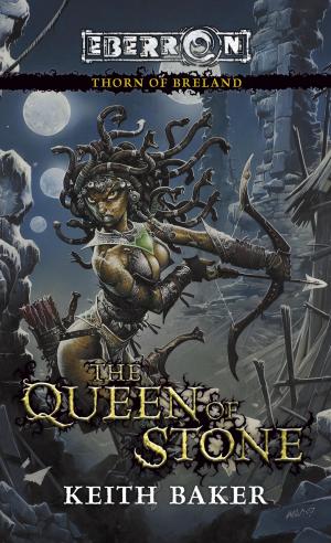 Book cover of The Queen of Stone