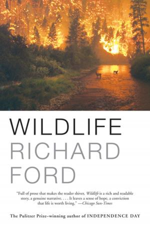 Cover of the book Wildlife by Bruce Jay Friedman