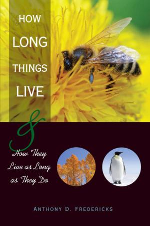 Cover of the book How Long Things Live by Hubert Meyer