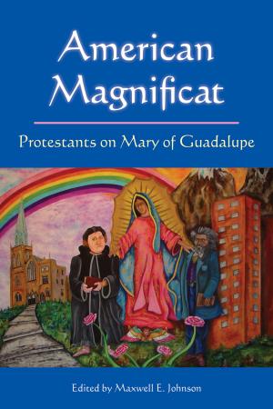Cover of the book American Magnificat by Daniella Zsupan-Jerome, PhD