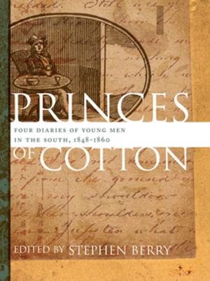 Cover of the book Princes of Cotton by Art Rosenbaum