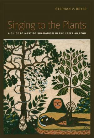 Cover of the book Singing to the Plants: A Guide to Mestizo Shamanism in the Upper Amazon by Doug Thompson