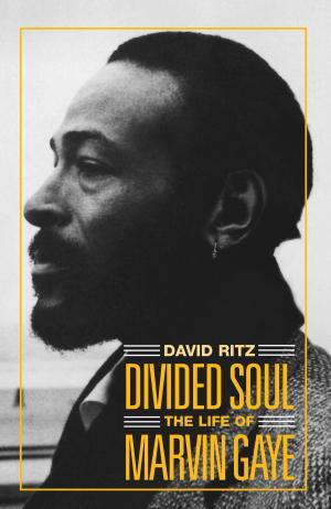 bigCover of the book Divided Soul: The Life Of Marvin Gaye by 