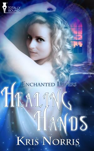 Cover of the book Healing Hands by Belinda McBride