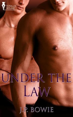 Cover of the book Under the Law by Nichelle Gregory