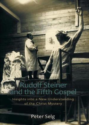 Cover of the book Rudolf Steiner and the Fifth Gospel by Torin Finser