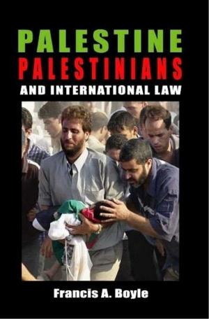 Cover of the book Palestine, Palestinians and International Law by Guy Mettan