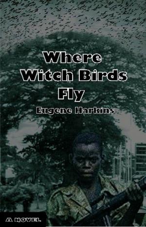 Cover of the book Where Witch Birds Fly by Devon A. Mihesuah