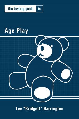 Book cover of The Toybag Guide to Age Play