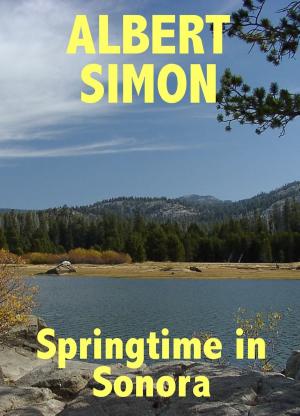 bigCover of the book Springtime in Sonora: A Henry Wright Mystery by 