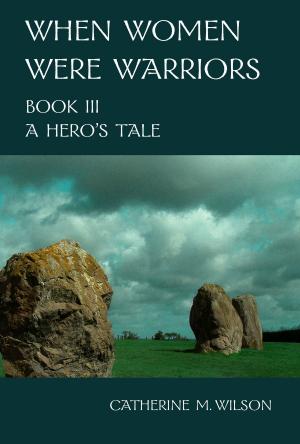 Cover of the book When Women Were Warriors Book III: A Hero's Tale by Pamela Fox