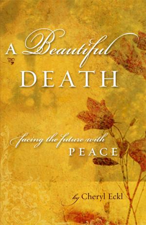 bigCover of the book A Beautiful Death by 