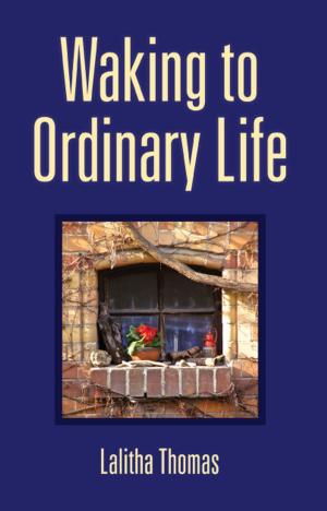Cover of the book Waking To Ordinary Life by Regina Ryan