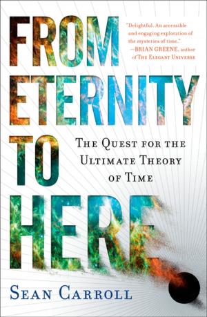 Cover of the book From Eternity to Here by Stephanie McAfee