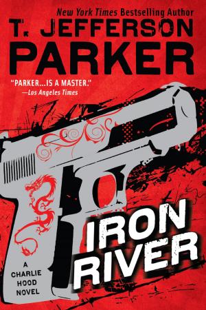 Book cover of Iron River