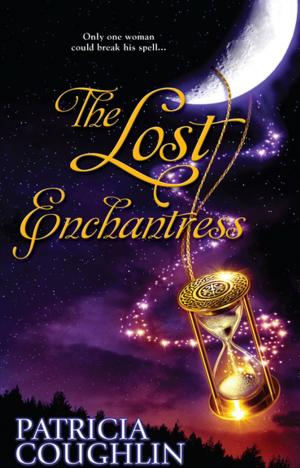 Book cover of The Lost Enchantress