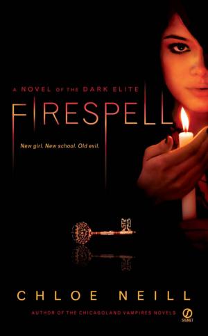 Cover of the book Firespell by Jon Hassler