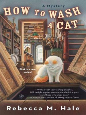 Cover of the book How to Wash a Cat by Linda Wiken