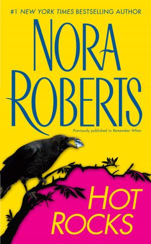 Cover of the book Hot Rocks by Nick Petrie