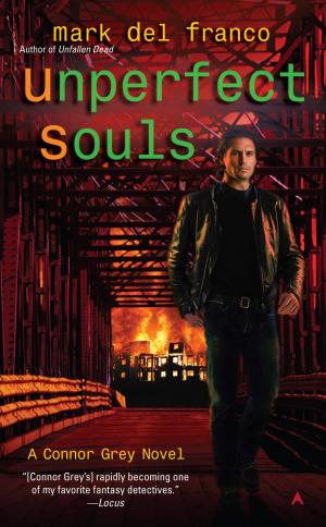 Cover of the book Unperfect Souls by David B. Feinberg, Tony Kushner