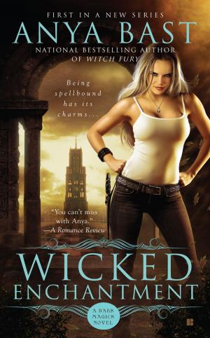 Cover of the book Wicked Enchantment by Jo Beverley