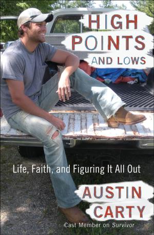 Cover of the book High Points and Lows by Krista Davis