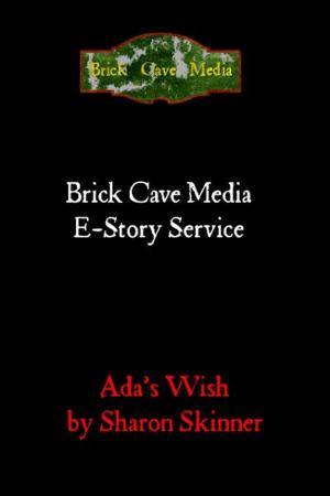 Cover of the book Ada's Wish by Colette Black