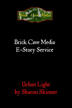 Book cover of Urban Light