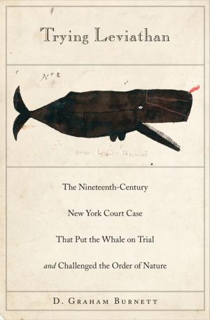 Cover of the book Trying Leviathan by Paul Rabinow