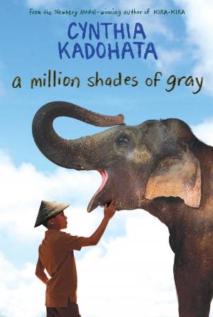 Cover of the book A Million Shades of Gray by E. R. Frank