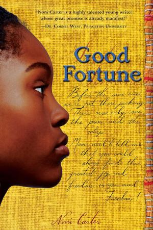 Cover of the book Good Fortune by Richard Reeves