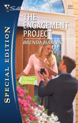 Cover of the book The Engagement Project by Lisa Shelby