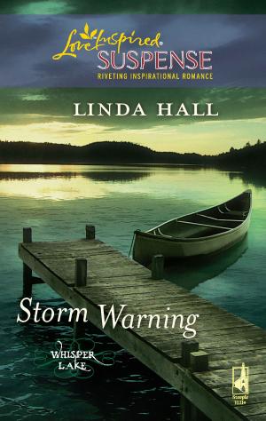 Cover of the book Storm Warning by Dana Mentink