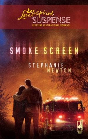 Cover of the book Smoke Screen by Terri Brisbin
