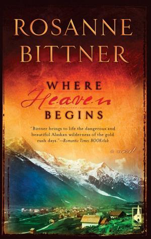 bigCover of the book Where Heaven Begins by 