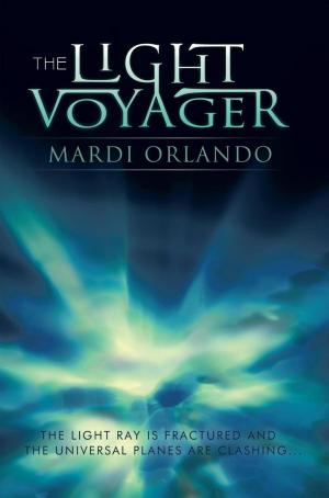 Cover of the book The Light Voyager by A.B.KAR
