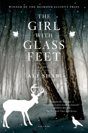 Cover of the book The Girl with Glass Feet by Paul Auster