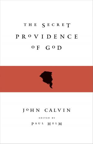 Book cover of The Secret Providence of God