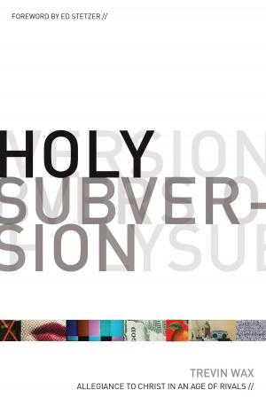 Book cover of Holy Subversion (Foreword by Ed Stetzer): Allegiance to Christ in an Age of Rivals