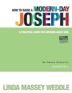 Cover of How to Raise a Modern-Day Joseph