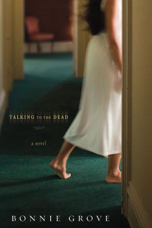 Cover of the book Talking to the Dead by Lindsay Paige