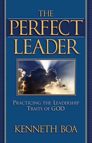 Cover of the book The Perfect Leader by Claudia Mair Burney