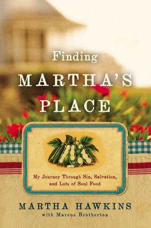 bigCover of the book Finding Martha's Place by 