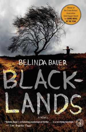Cover of the book Blacklands by Camilla Grebe, Åsa Träff