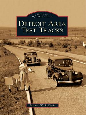 Cover of the book Detroit Area Test Tracks by Melinda Sartwell, Rebecca Riesenberg