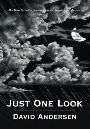 Cover of the book Just One Look by Dr. Nadine Judith Lynch PhD