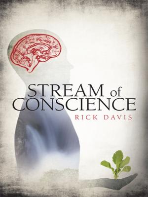 Cover of the book Stream of Conscience by Alan Seibert, Ray Moore, Scott Habeeb