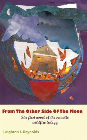 Cover of the book From the Other Side of the Moon by Felix Chukwuka Ogbonna