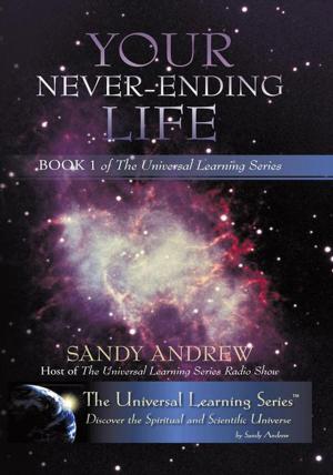 Cover of the book Your Never-Ending Life by Trapper Pettit